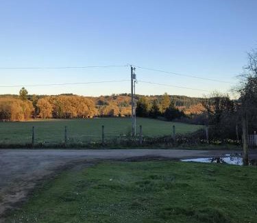 Willamina House | Natures Window