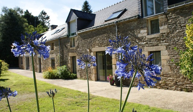 Aux Agapanthes