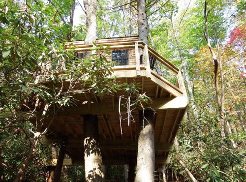 The Hidden Hemlock Tree House