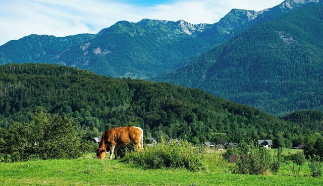 Visit nature at Courtyard Portland Southeast/Clackamas
